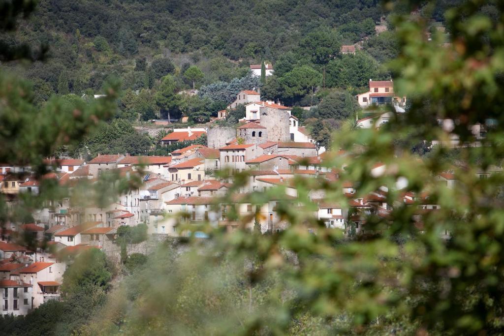 La Pinede Hotel Amélie-les-Bains-Palalda Szoba fotó